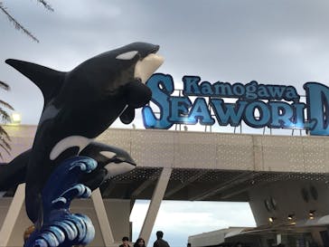 鴨川シーワールドに投稿された画像（2020/1/6）