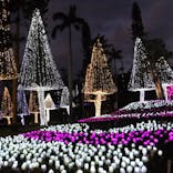 美らヤシパークオキナワ・東南植物楽園に投稿された画像（2020/1/6）