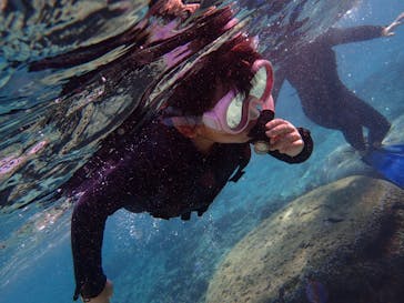 ダイビングショップ Sea Free（シーフリー）に投稿された画像（2020/1/3）