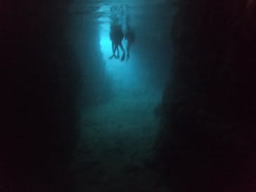 DIVING-SHOP SUNSに投稿された画像（2020/1/7）