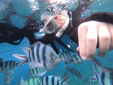 DIVING-SHOP SUNSに投稿された画像（2020/1/7）