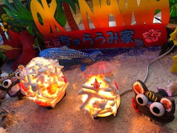 工房ちゅらうみ家に投稿された画像（2020/1/7）