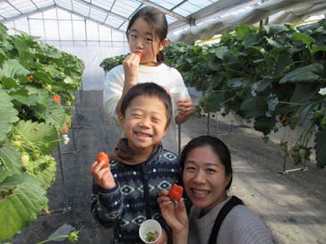 果実の里 原田農園に投稿された画像（2020/1/7）