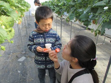 果実の里 原田農園に投稿された画像（2020/1/7）