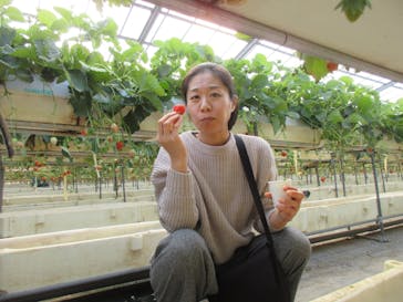 果実の里 原田農園に投稿された画像（2020/1/7）