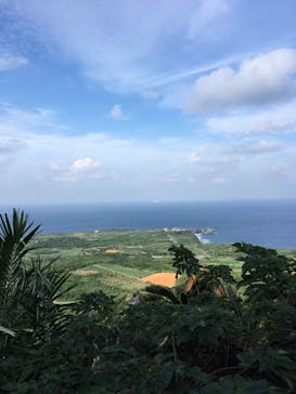 アスムイハイクスに投稿された画像（2020/1/7）