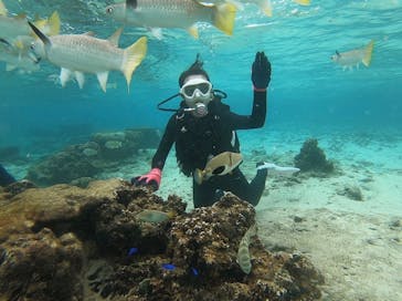 DIVING-SHOP SUNSに投稿された画像（2020/1/7）