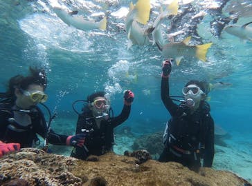 DIVING-SHOP SUNSに投稿された画像（2020/1/7）