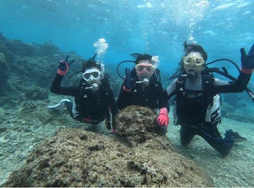 DIVING-SHOP SUNSに投稿された画像（2020/1/7）