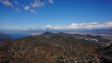 伊豆パノラマパークに投稿された画像（2020/1/8）