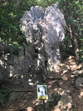 アスムイハイクスに投稿された画像（2020/1/8）