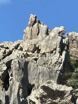 アスムイハイクスに投稿された画像（2020/1/8）