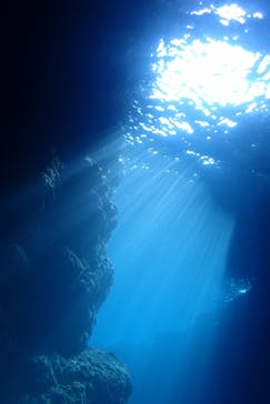 ダイビングショップ Sea Free（シーフリー）に投稿された画像（2020/1/8）