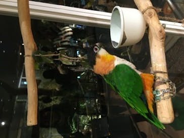 オービィ横浜に投稿された画像（2020/1/8）