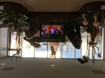 オービィ横浜に投稿された画像（2020/1/8）