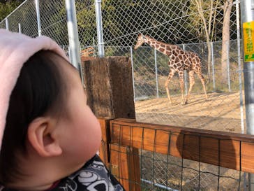 しろとり動物園に投稿された画像（2020/1/10）