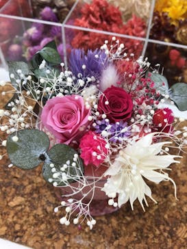 ずこうしつ〜sugamo〜に投稿された画像（2020/1/10）