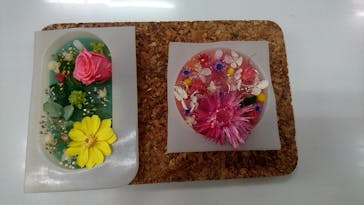 ずこうしつ〜sugamo〜に投稿された画像（2020/1/11）