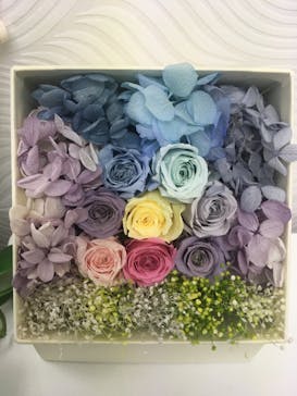 ずこうしつ〜sugamo〜に投稿された画像（2020/1/12）