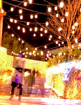 ひらかたパークに投稿された画像（2020/1/12）