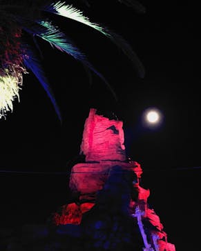 ひらかたパークに投稿された画像（2020/1/12）