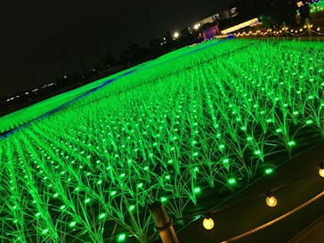 東京メガイルミに投稿された画像（2020/1/13）