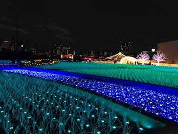 東京メガイルミに投稿された画像（2020/1/13）