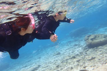 ダイビングショップ Sea Free（シーフリー）に投稿された画像（2020/1/13）