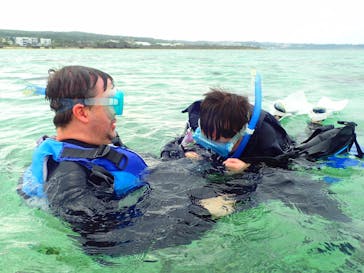 ダイビングショップ Sea Free（シーフリー）に投稿された画像（2020/1/13）