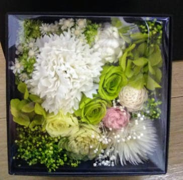 ずこうしつ〜sugamo〜に投稿された画像（2020/1/13）