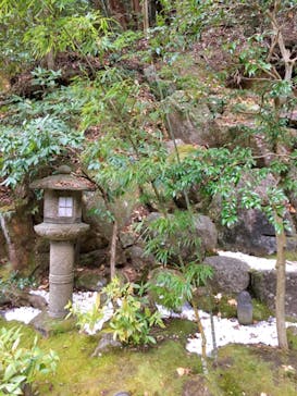 アソビュー株式会社　150881に投稿された画像（2020/1/13）