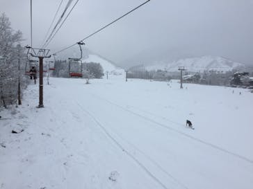 つがいけマウンテンリゾートに投稿された画像（2020/1/14）