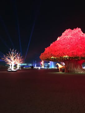 東京メガイルミに投稿された画像（2020/1/14）