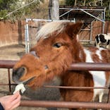 しろとり動物園に投稿された画像（2020/1/14）