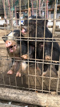 しろとり動物園に投稿された画像（2020/1/14）