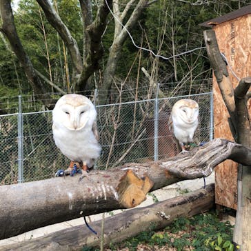 しろとり動物園に投稿された画像（2020/1/14）