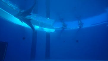 大分マリーンパレス水族館 「うみたまご」に投稿された画像（2020/1/14）