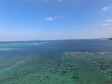 ブルーオーシャンクラブに投稿された画像（2020/1/14）