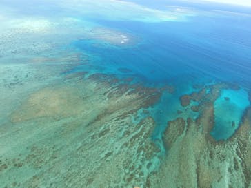 ブルーオーシャンクラブに投稿された画像（2020/1/14）