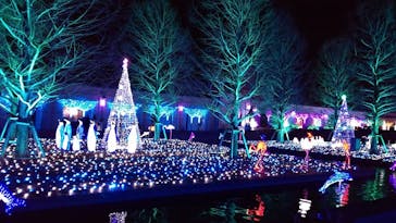 神戸イルミナージュに投稿された画像（2020/1/14）