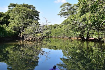 CHOROに投稿された画像（2020/1/15）