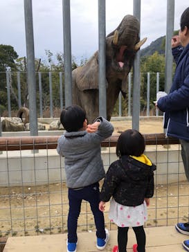 しろとり動物園に投稿された画像（2020/1/15）