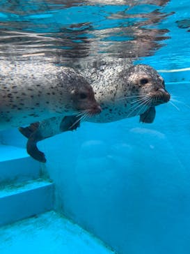 鳥羽水族館に投稿された画像（2020/1/16）