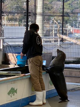 鳥羽水族館に投稿された画像（2020/1/16）