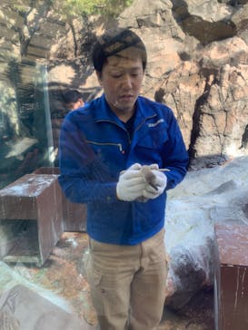 鳥羽水族館に投稿された画像（2020/1/16）