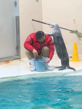 鳥羽水族館に投稿された画像（2020/1/16）