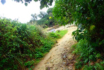 ダイビングショップ Sea Free（シーフリー）に投稿された画像（2020/1/17）