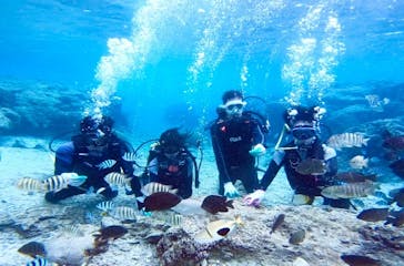 青の洞窟専門店　沖縄ダイビングショップ和に投稿された画像（2020/1/17）