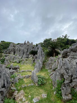 アスムイハイクスに投稿された画像（2020/1/18）