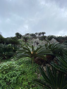 アスムイハイクスに投稿された画像（2020/1/18）